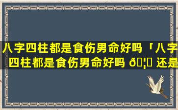 八字四柱都是食伤男命好吗「八字四柱都是食伤男命好吗 🦄 还是女命」